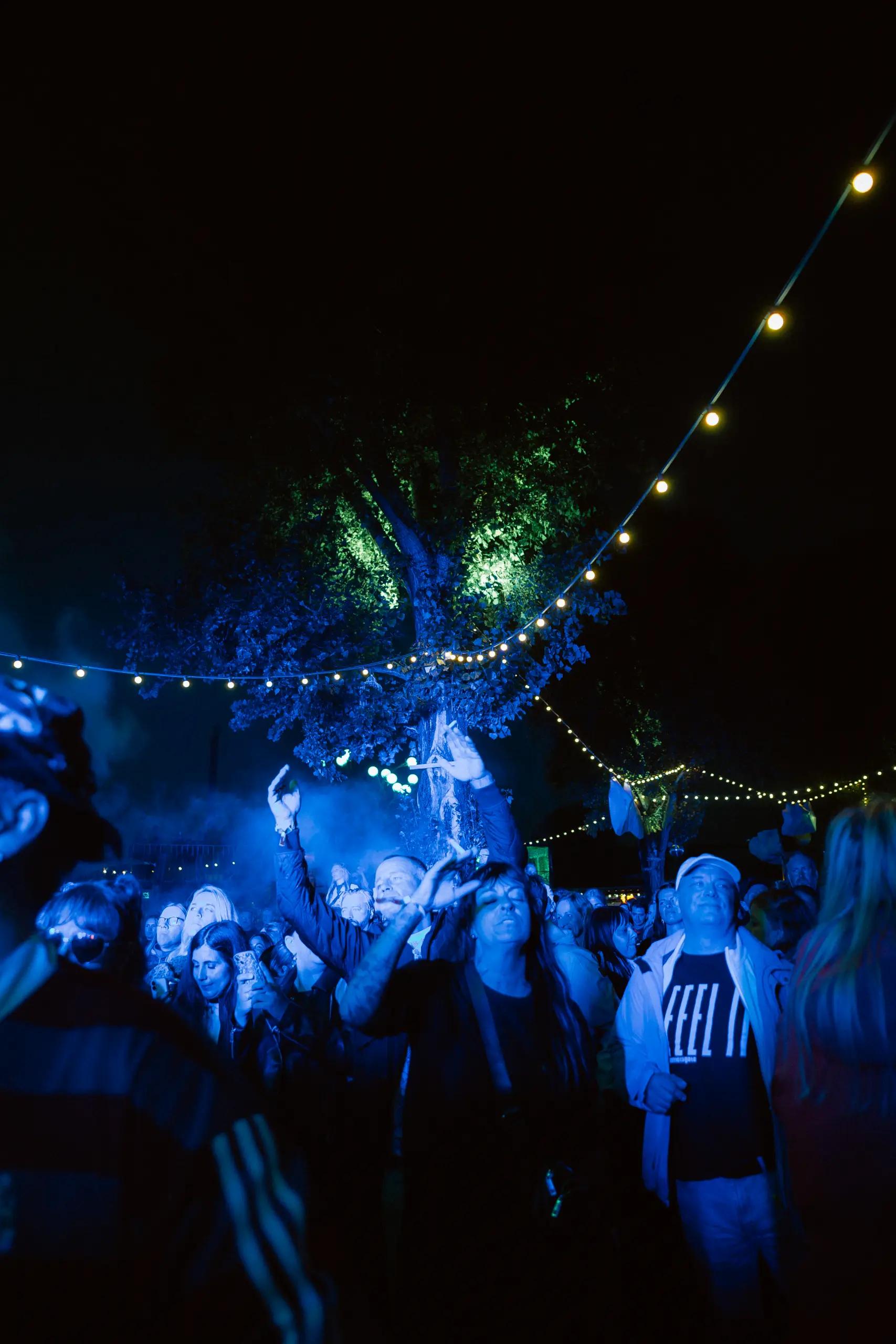 Deep Woods auf Wolkezwei am Sonntag, 20. September 2026, Aufnahme 13 von 20