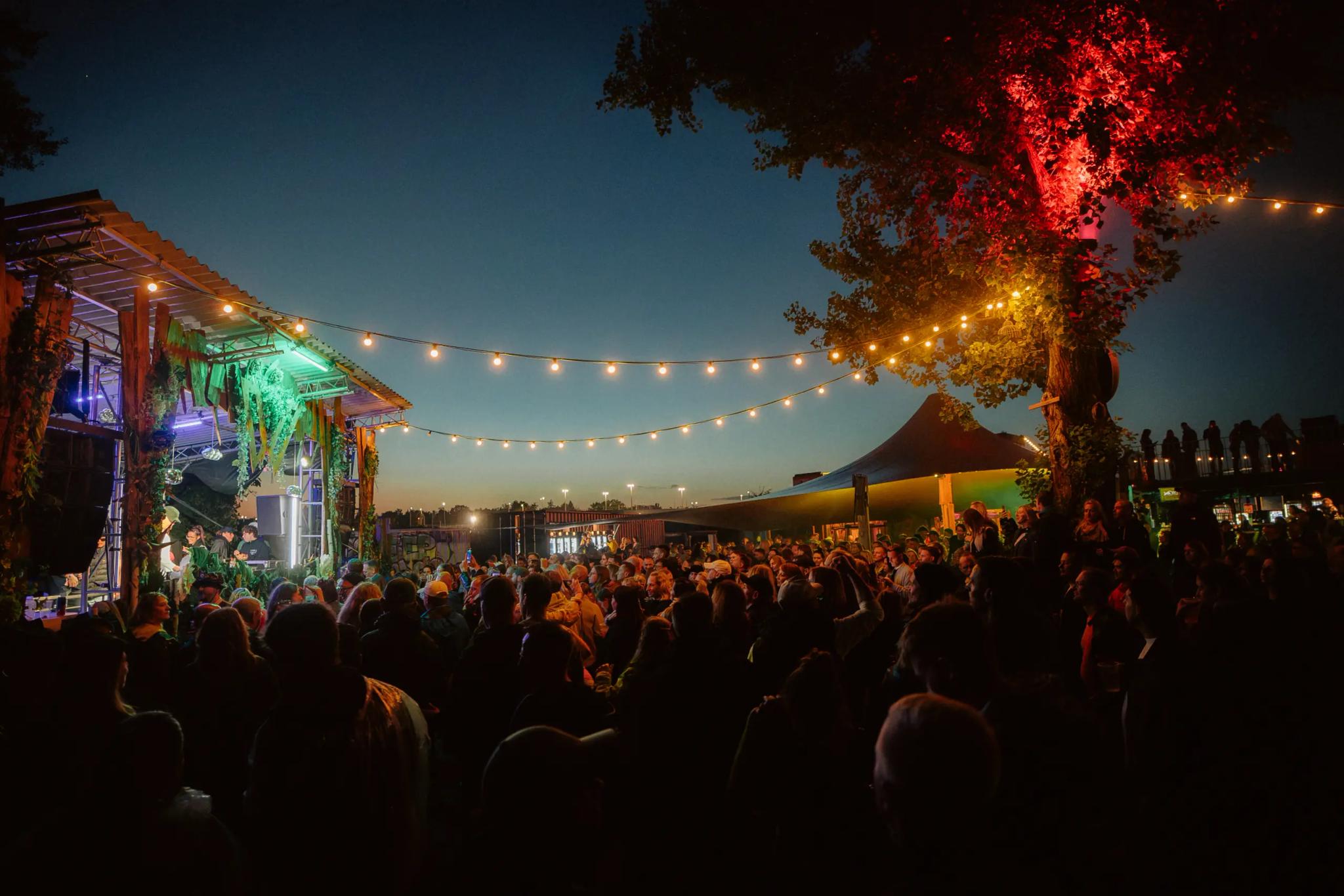 Deep Woods auf Wolkezwei am Sonntag, 20. September 2026, Aufnahme 9 von 20